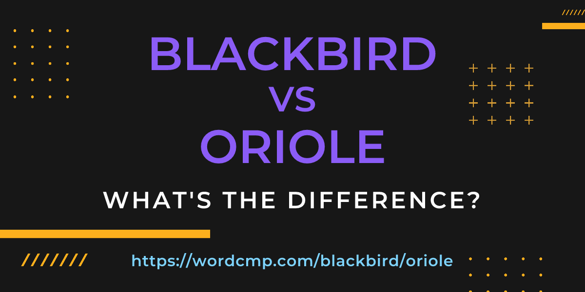 Difference between blackbird and oriole