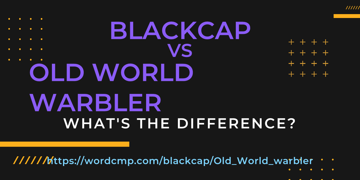 Difference between blackcap and Old World warbler