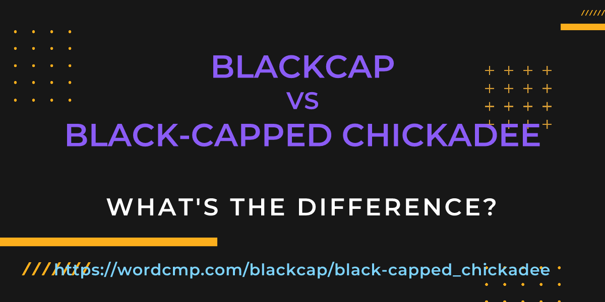Difference between blackcap and black-capped chickadee