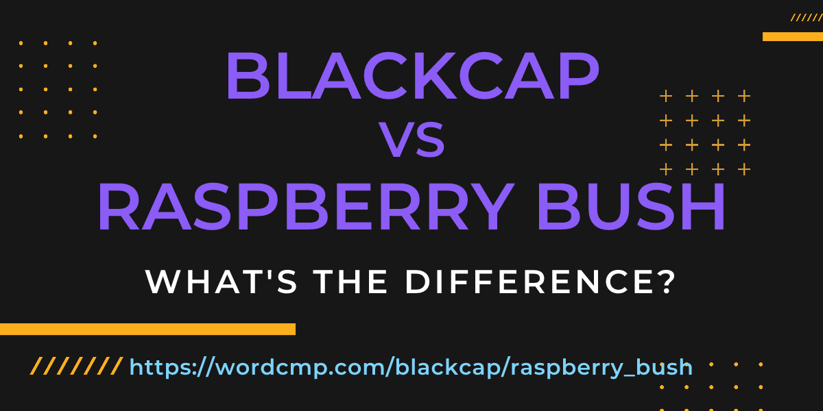 Difference between blackcap and raspberry bush