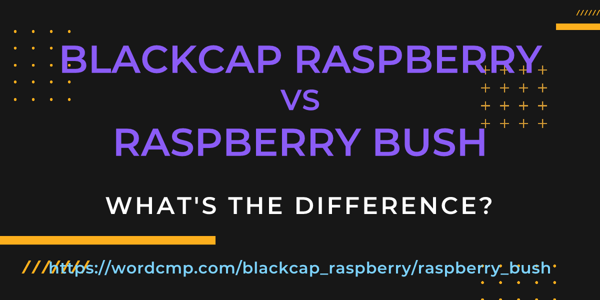 Difference between blackcap raspberry and raspberry bush
