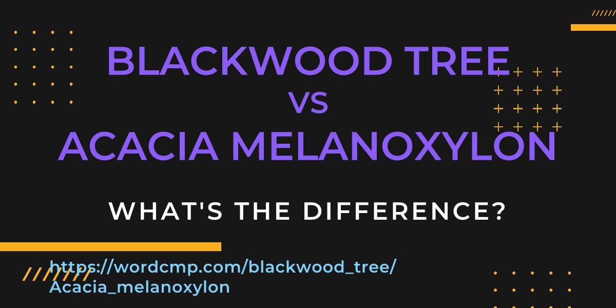Difference between blackwood tree and Acacia melanoxylon