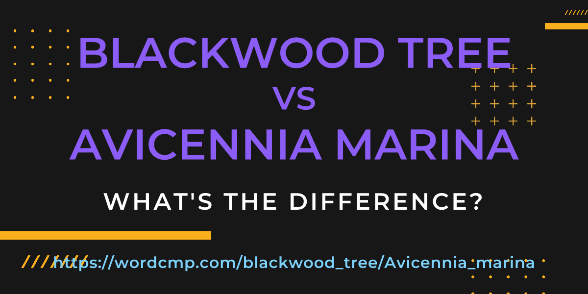 Difference between blackwood tree and Avicennia marina