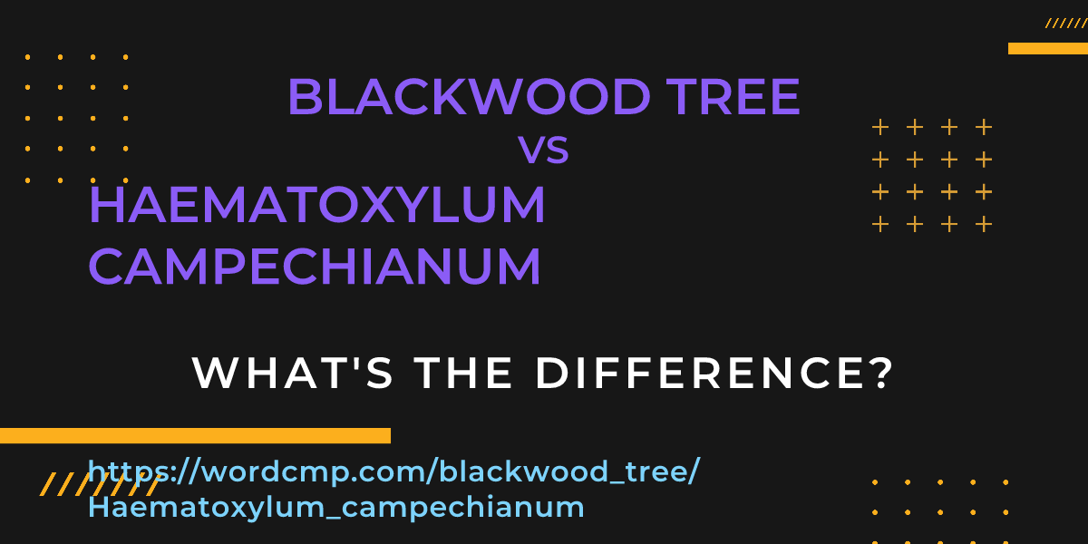 Difference between blackwood tree and Haematoxylum campechianum
