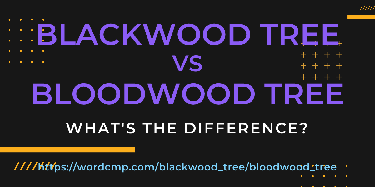 Difference between blackwood tree and bloodwood tree