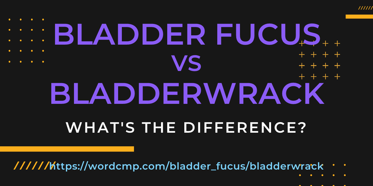 Difference between bladder fucus and bladderwrack