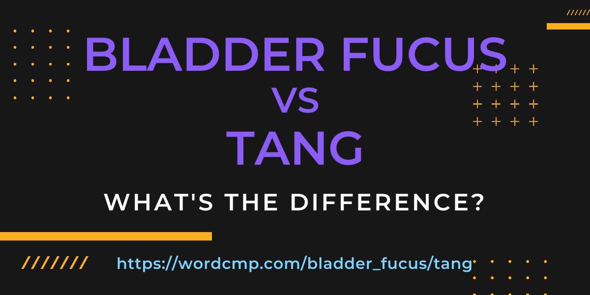 Difference between bladder fucus and tang