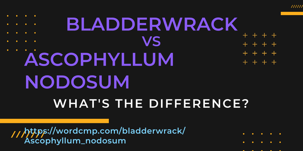 Difference between bladderwrack and Ascophyllum nodosum