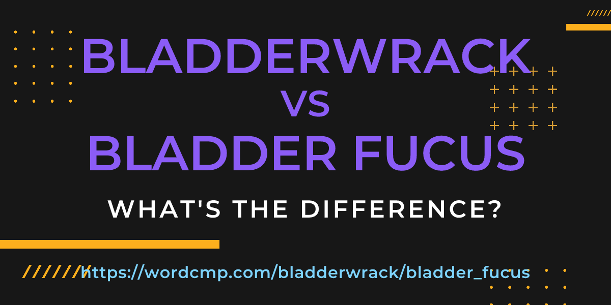 Difference between bladderwrack and bladder fucus