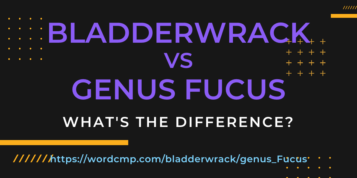Difference between bladderwrack and genus Fucus