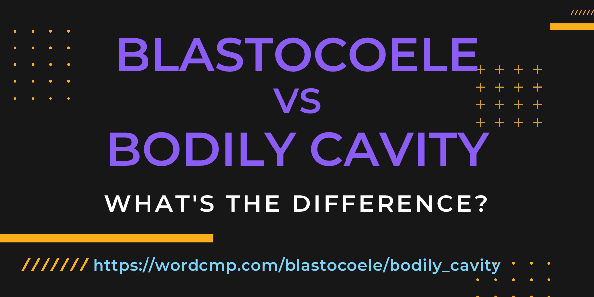 Difference between blastocoele and bodily cavity