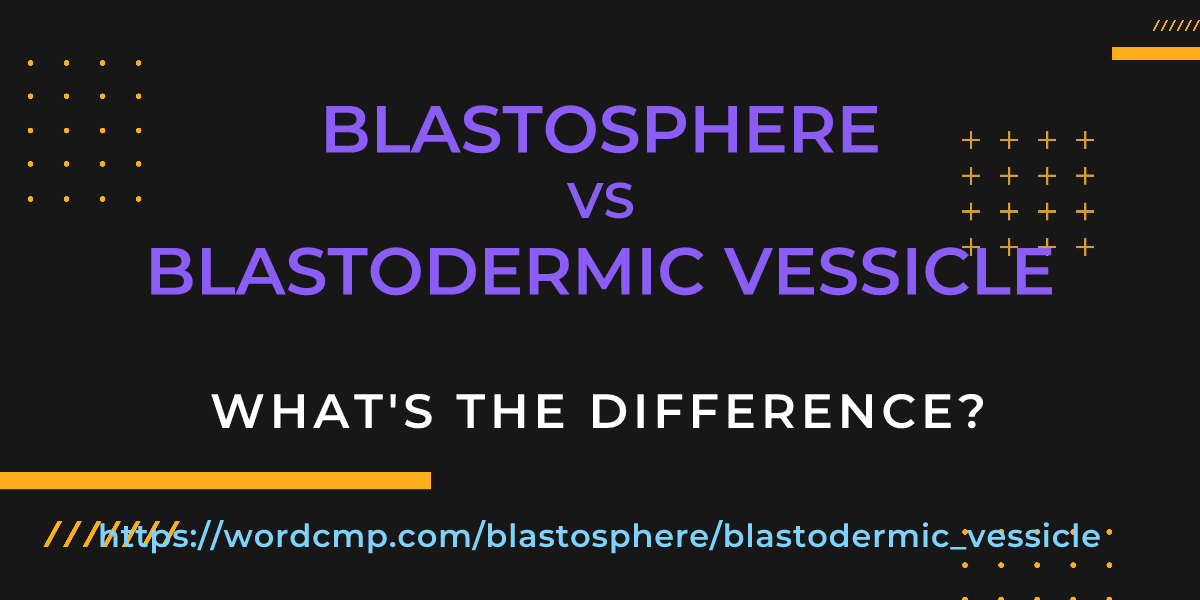 Difference between blastosphere and blastodermic vessicle
