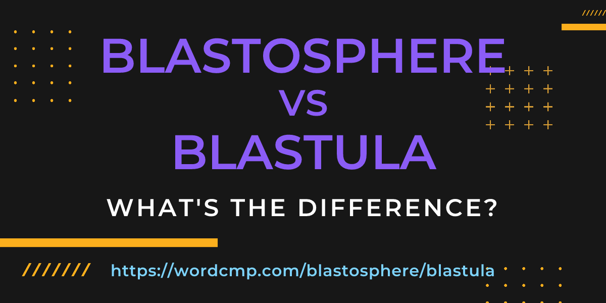 Difference between blastosphere and blastula