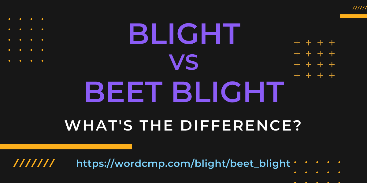 Difference between blight and beet blight
