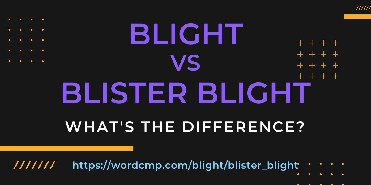Difference between blight and blister blight