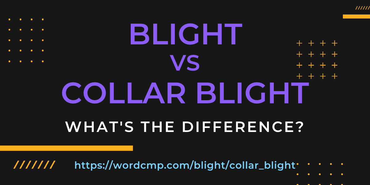 Difference between blight and collar blight