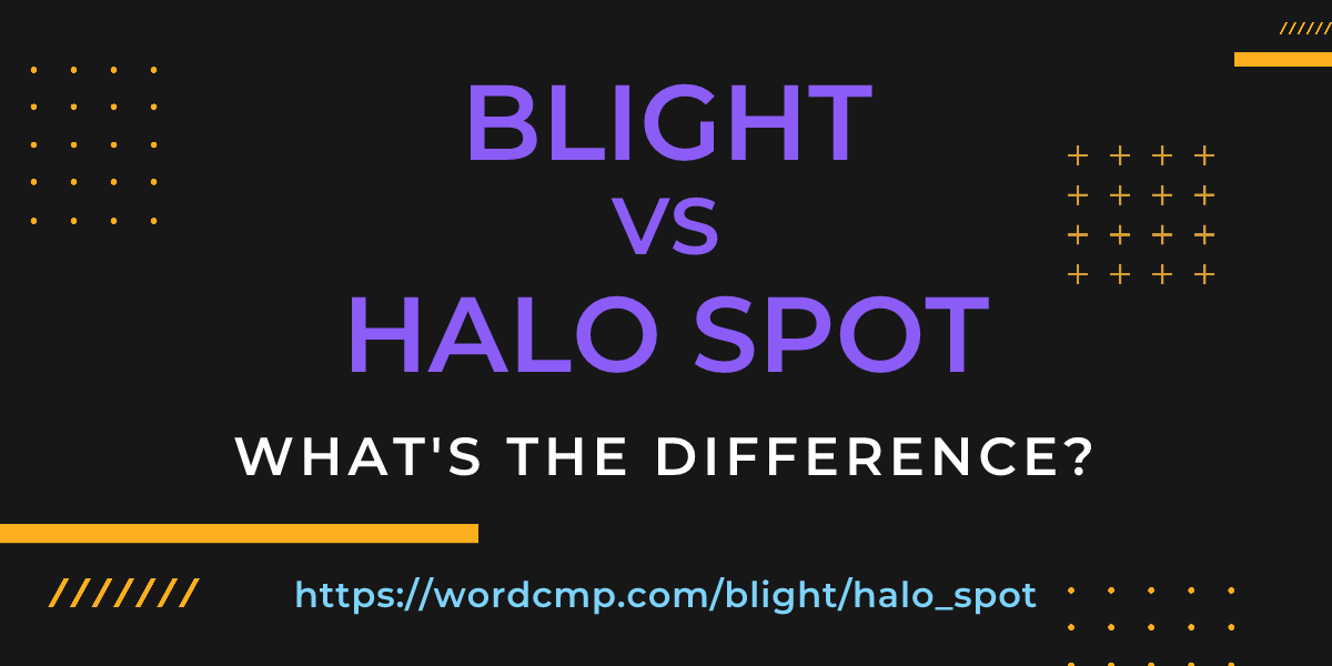 Difference between blight and halo spot