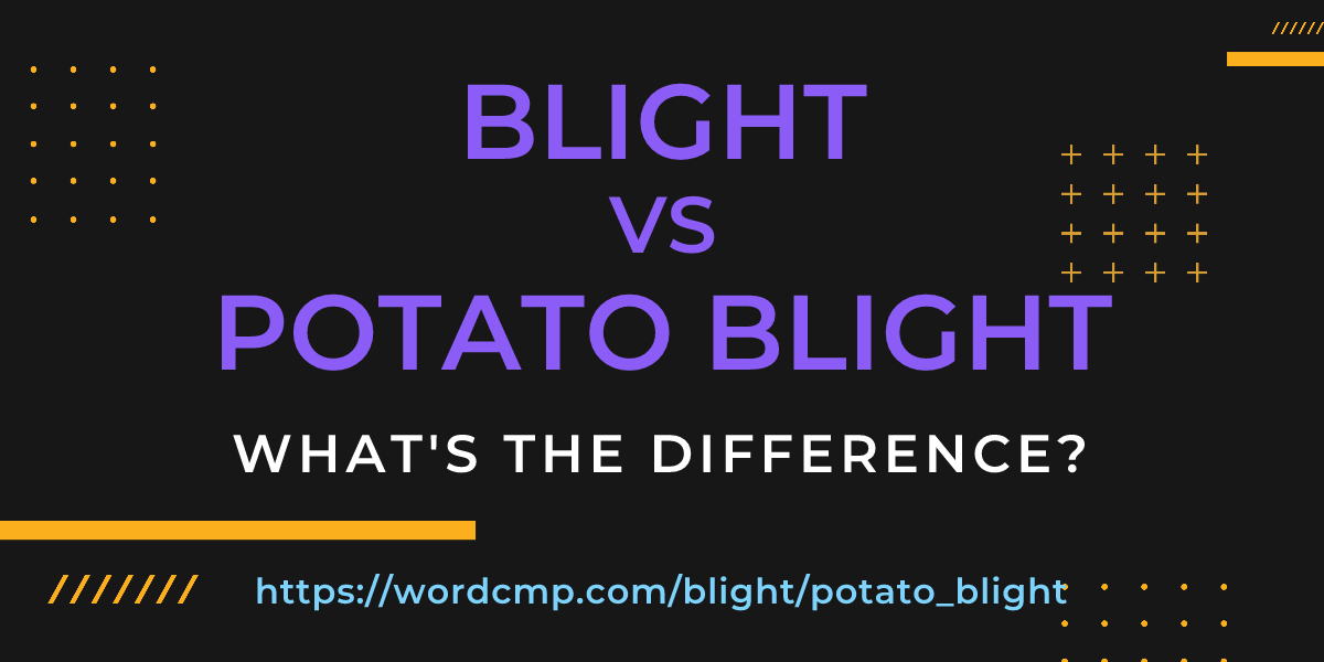 Difference between blight and potato blight