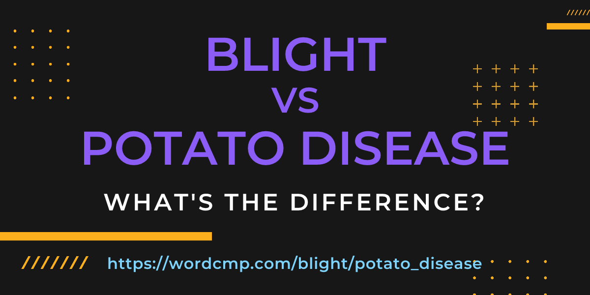 Difference between blight and potato disease