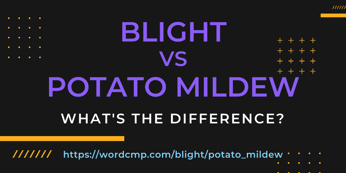 Difference between blight and potato mildew