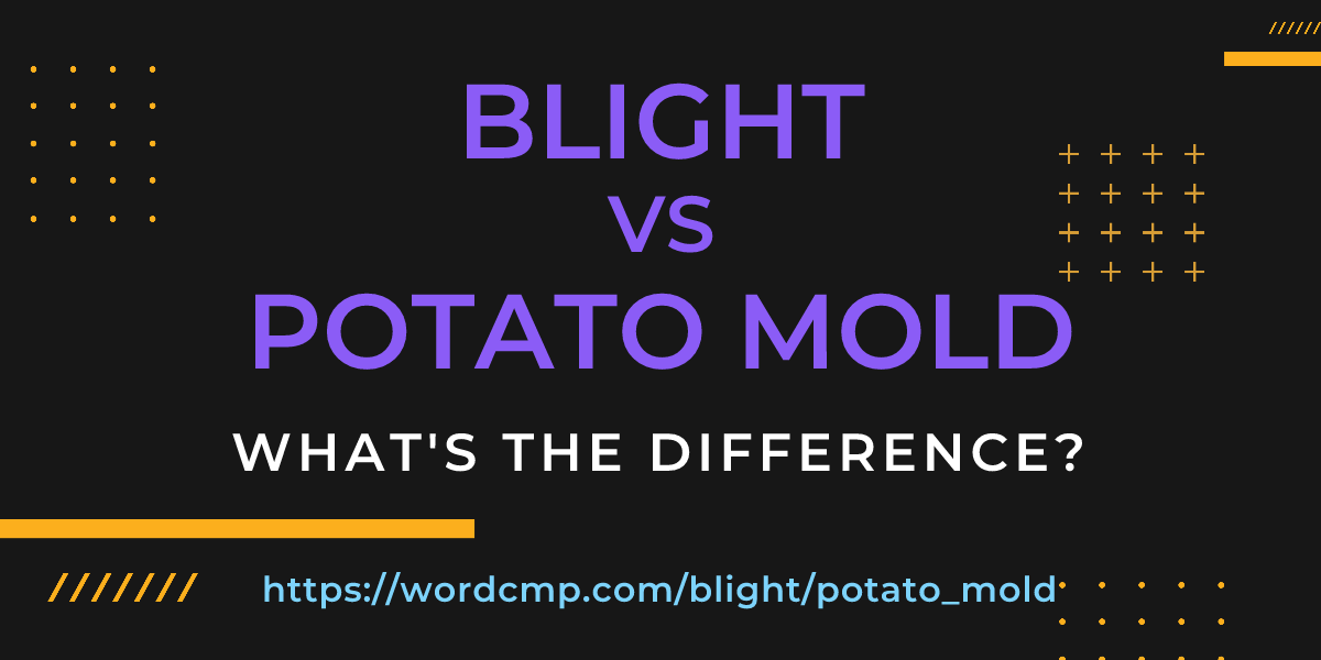 Difference between blight and potato mold