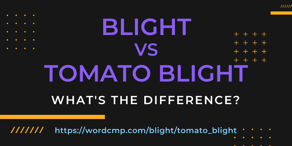 Difference between blight and tomato blight