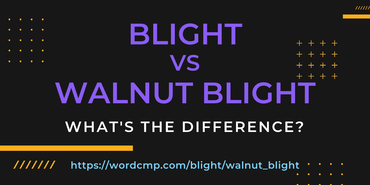 Difference between blight and walnut blight