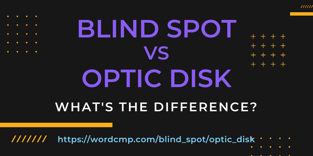 Difference between blind spot and optic disk