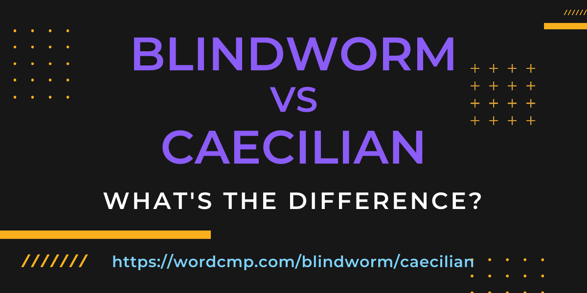 Difference between blindworm and caecilian