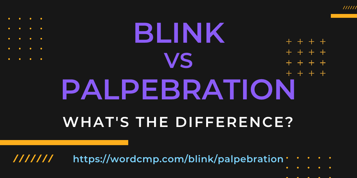 Difference between blink and palpebration