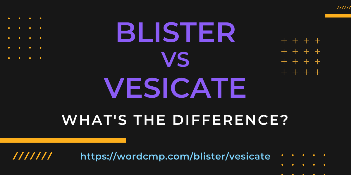 Difference between blister and vesicate