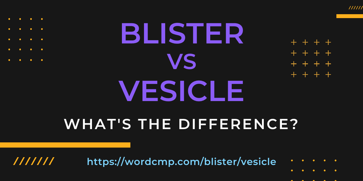 Difference between blister and vesicle