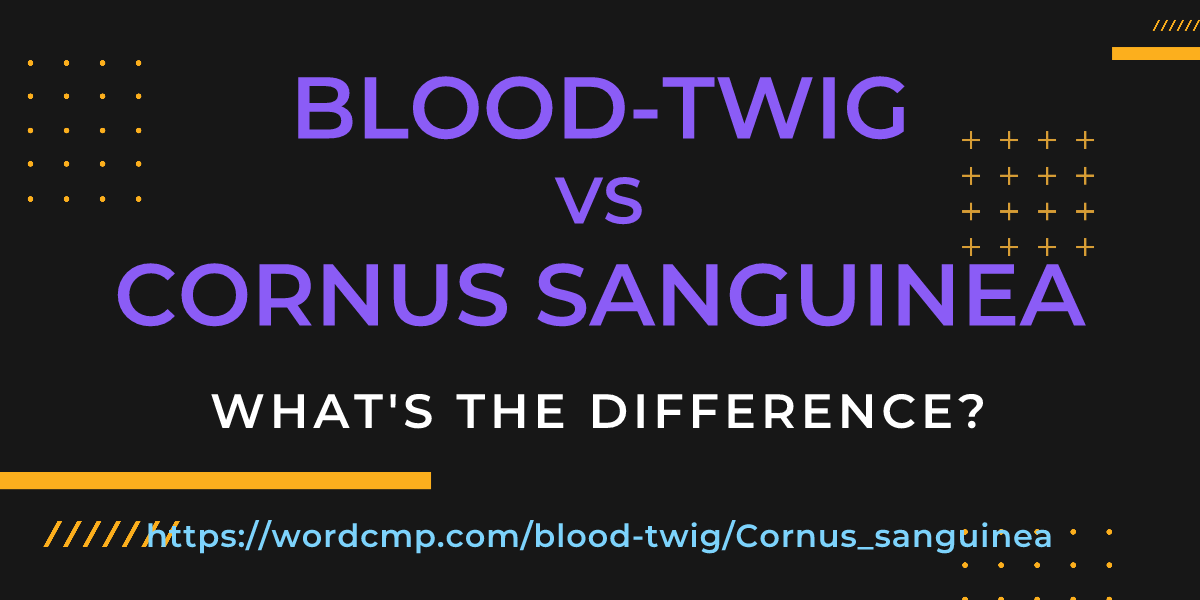 Difference between blood-twig and Cornus sanguinea