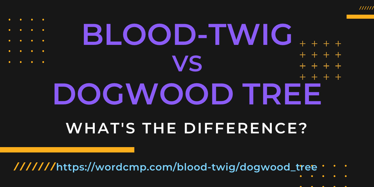 Difference between blood-twig and dogwood tree