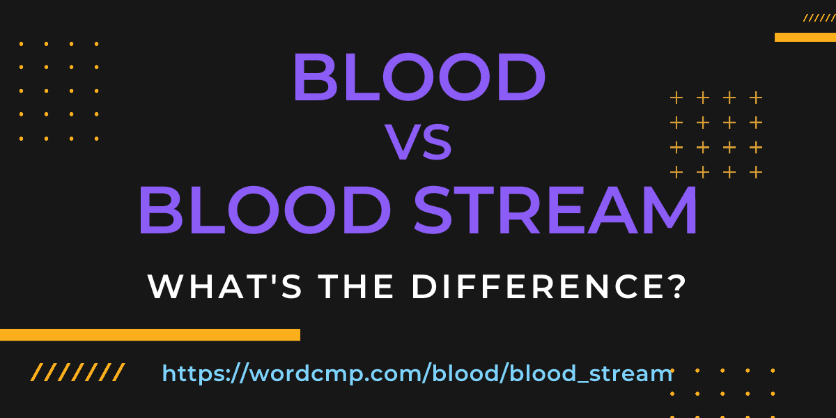 Difference between blood and blood stream
