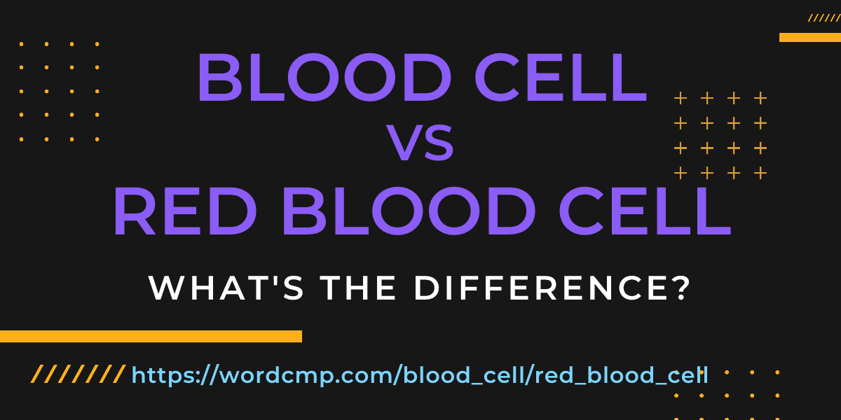 Difference between blood cell and red blood cell