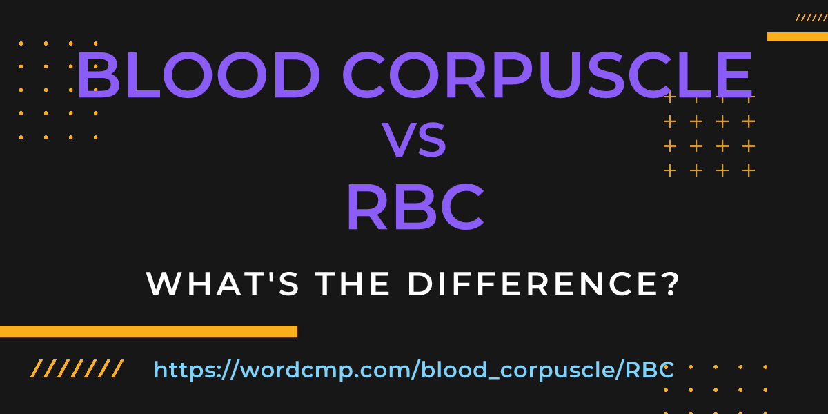 Difference between blood corpuscle and RBC