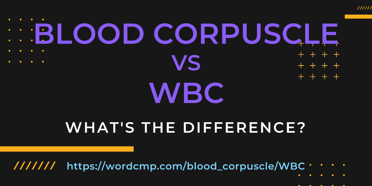 Difference between blood corpuscle and WBC