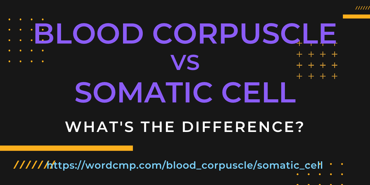 Difference between blood corpuscle and somatic cell