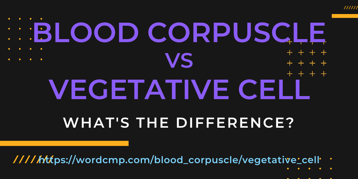 Difference between blood corpuscle and vegetative cell