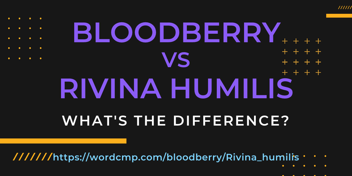 Difference between bloodberry and Rivina humilis