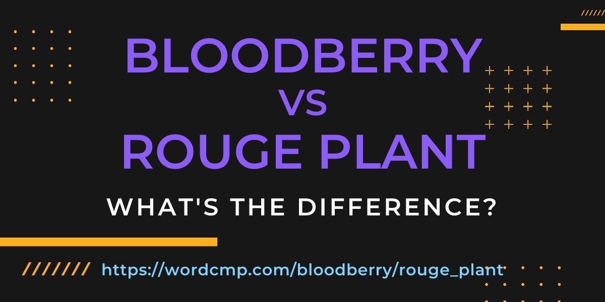 Difference between bloodberry and rouge plant