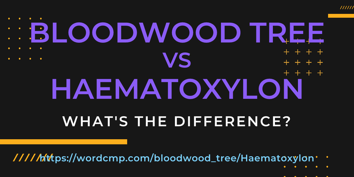 Difference between bloodwood tree and Haematoxylon