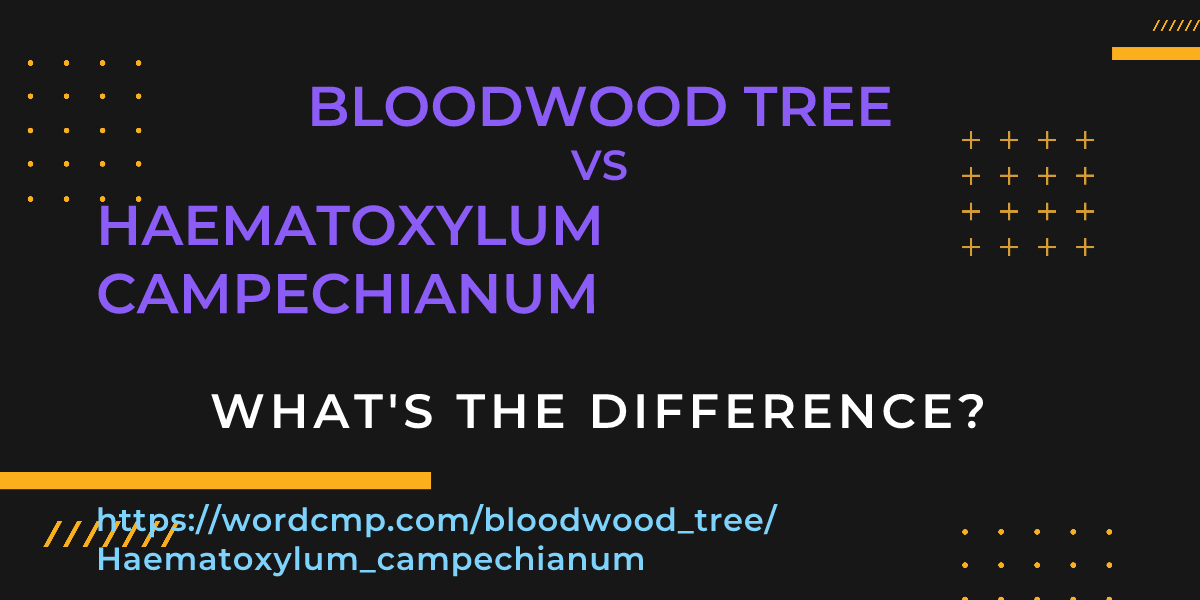 Difference between bloodwood tree and Haematoxylum campechianum