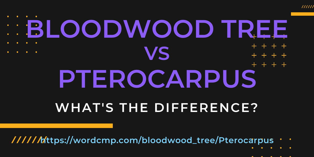 Difference between bloodwood tree and Pterocarpus