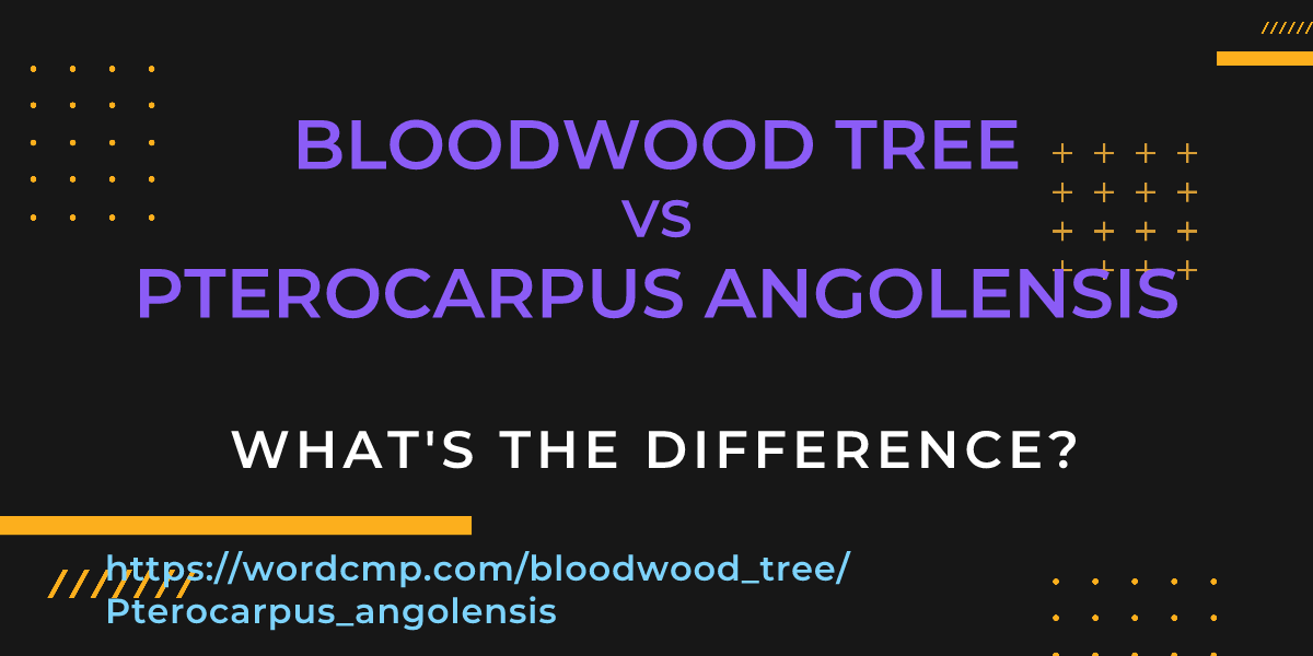 Difference between bloodwood tree and Pterocarpus angolensis