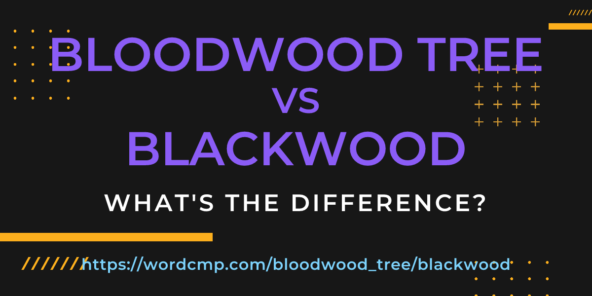 Difference between bloodwood tree and blackwood
