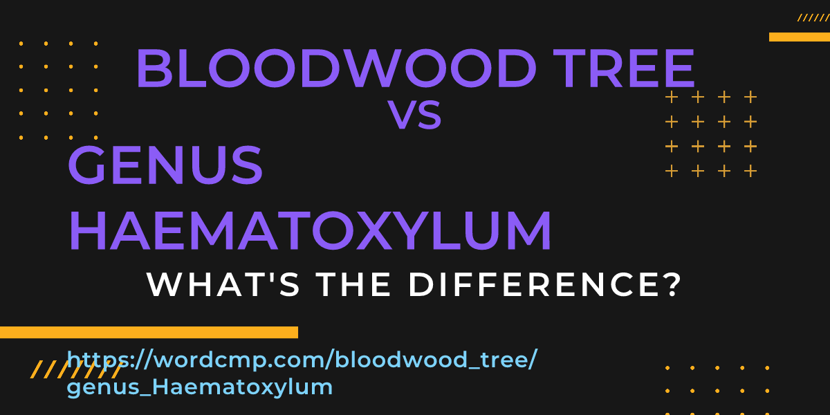 Difference between bloodwood tree and genus Haematoxylum