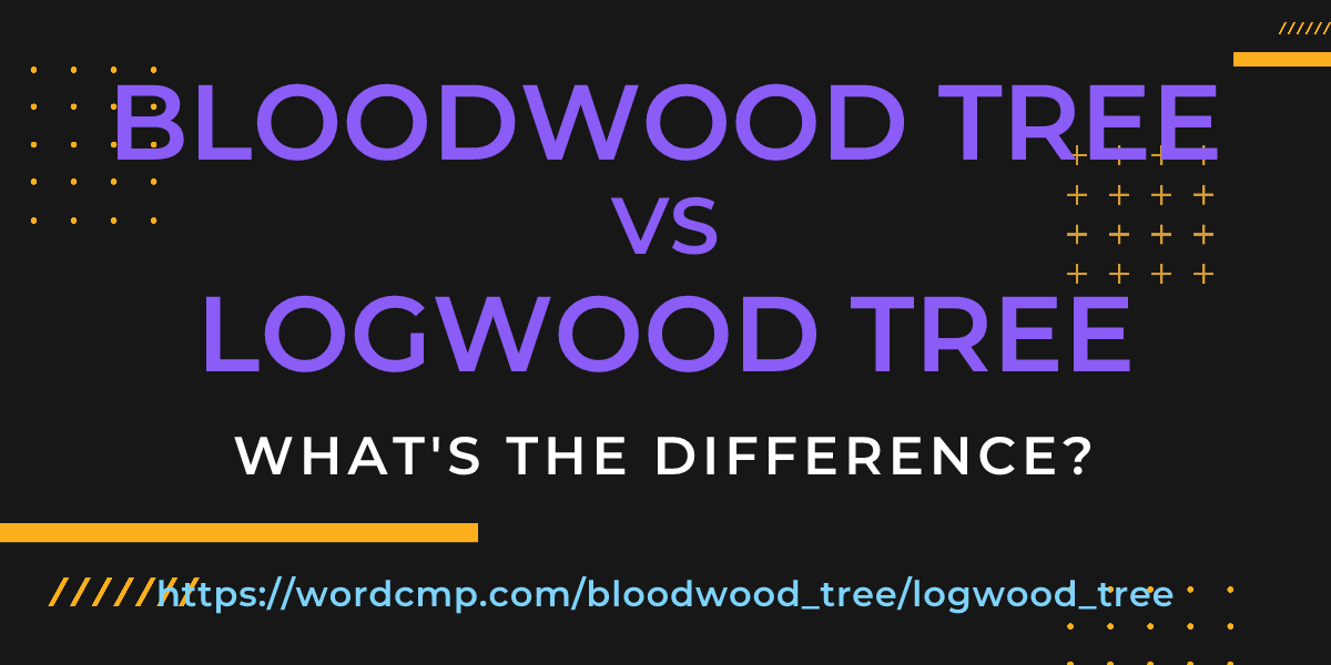Difference between bloodwood tree and logwood tree