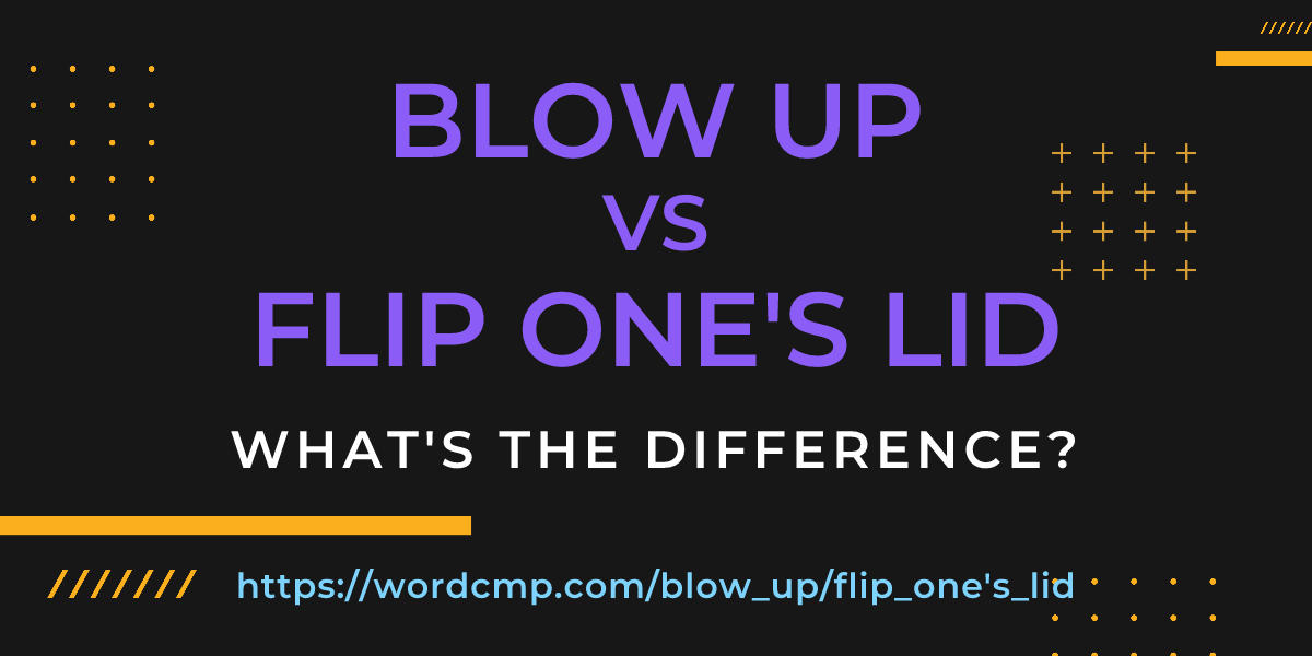 Difference between blow up and flip one's lid